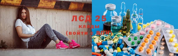 индика Алзамай