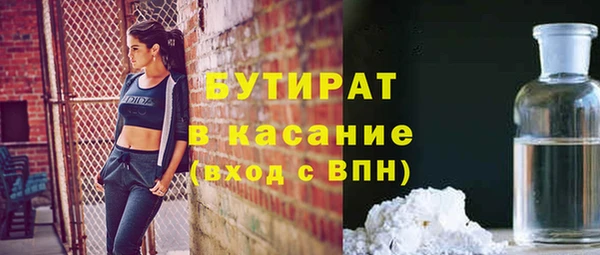 индика Алзамай