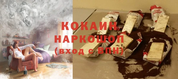 индика Алзамай