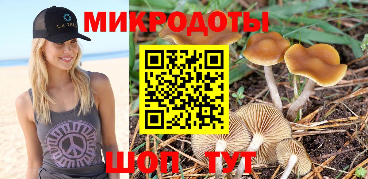 Галлюциногенные грибы GOLDEN TEACHER  купить   Дзержинский  Вход с VPN  Псилоцибиновые грибы прущие грибы 