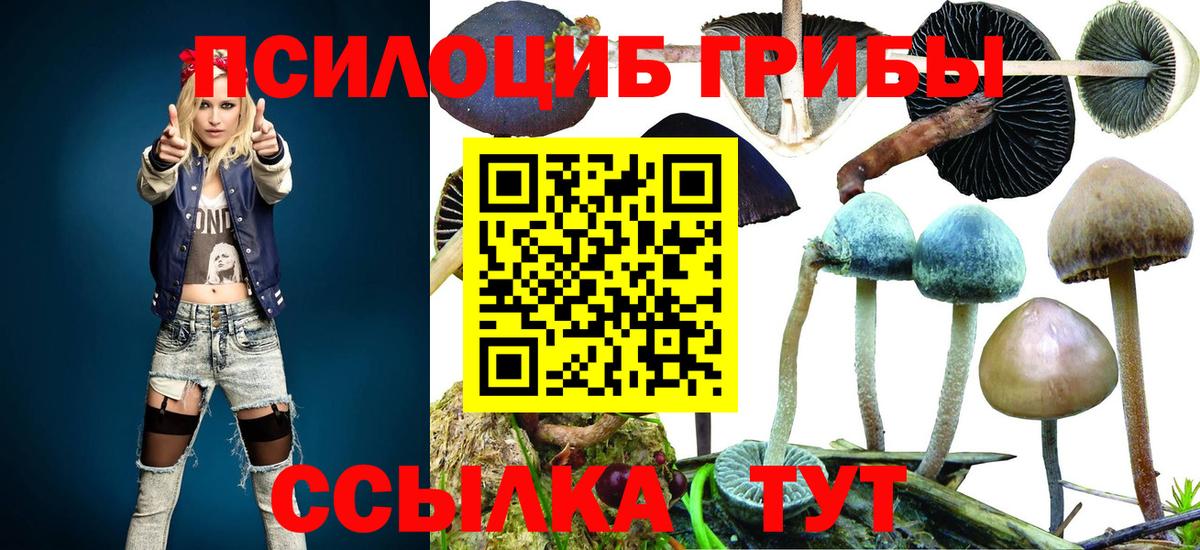 Галлюциногенные грибы Psilocybine cubensis Дзержинский